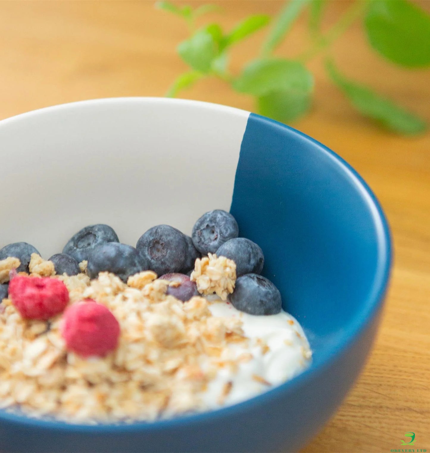 Sedona Ceramic Cereal Bowl